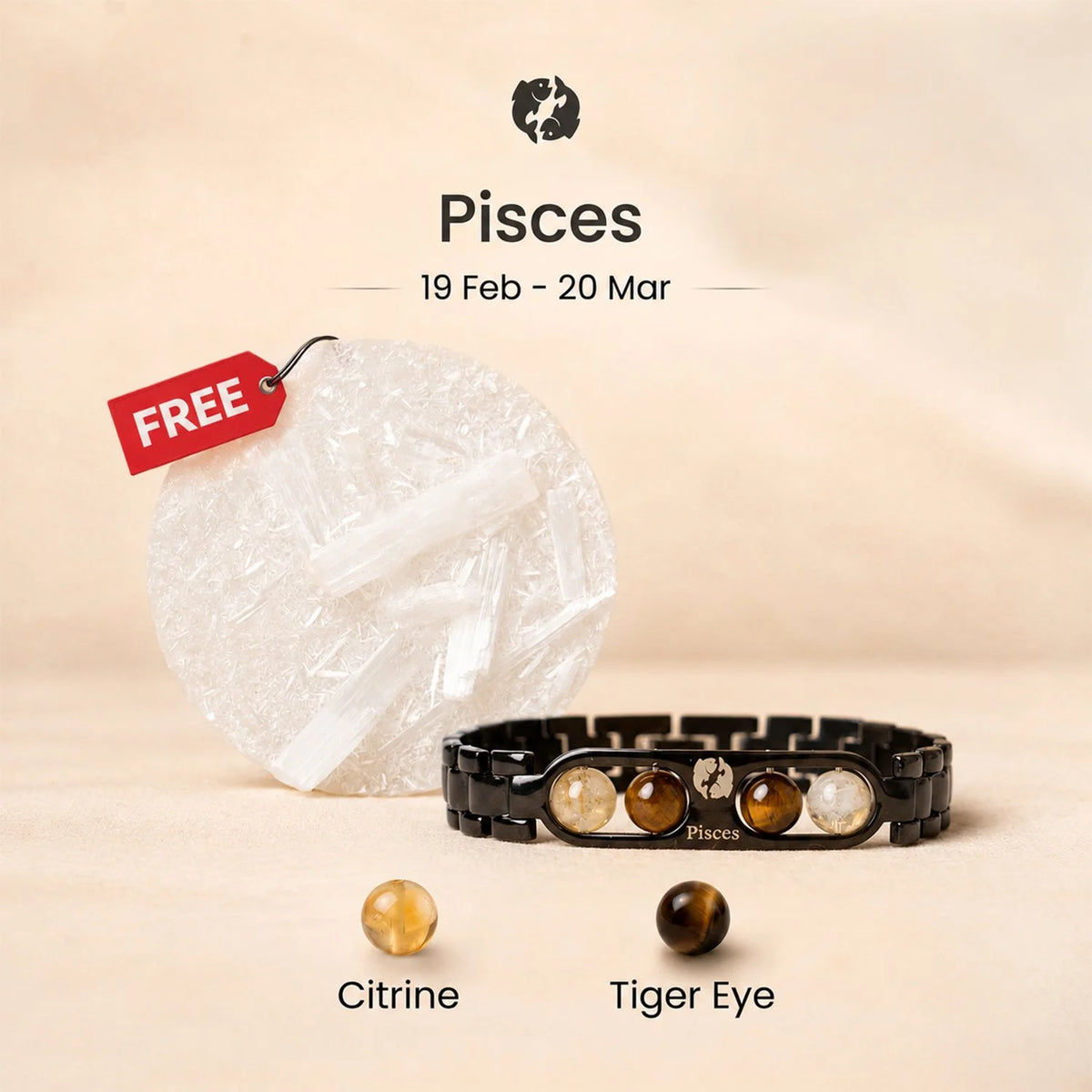 Pisces Zodiac Metal Bracelet with Free Raw Selenite Plate