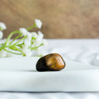 Tiger Eye Tumble