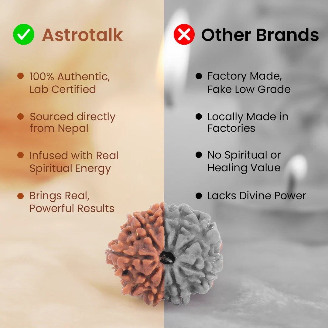 Nepal Origin 9 Mukhi Rudraksha -  17mm to 22mm