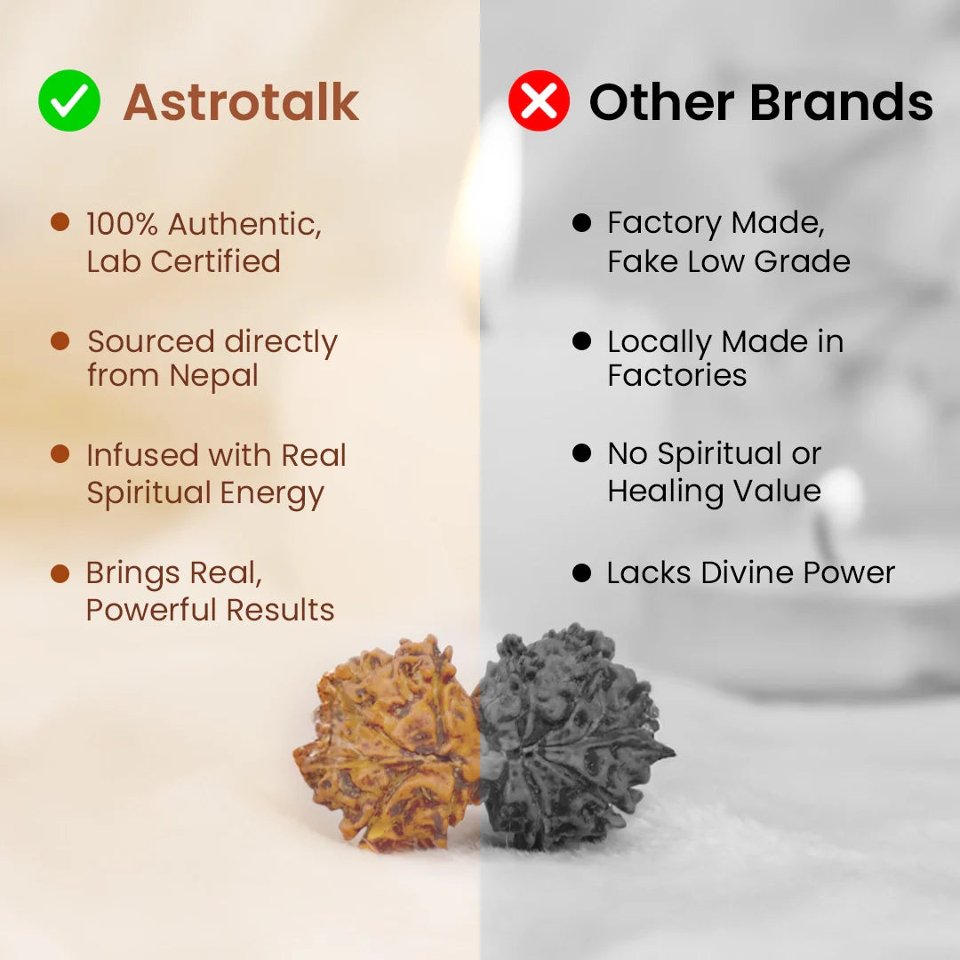 Nepal Origin Gauri Shankar Rudraksha - 17mm to 22mm