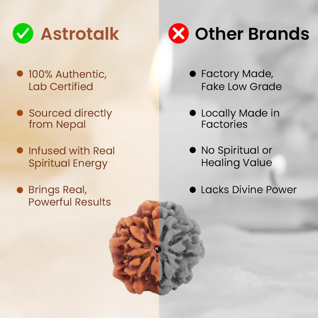 Nepal Origin Nirakar Rudraksha (0 Mukhi) -  17mm - 22mm