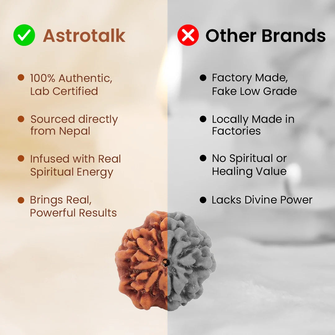 Nepal Origin Nirakar Rudraksha (0 Mukhi) -  17mm - 22mm