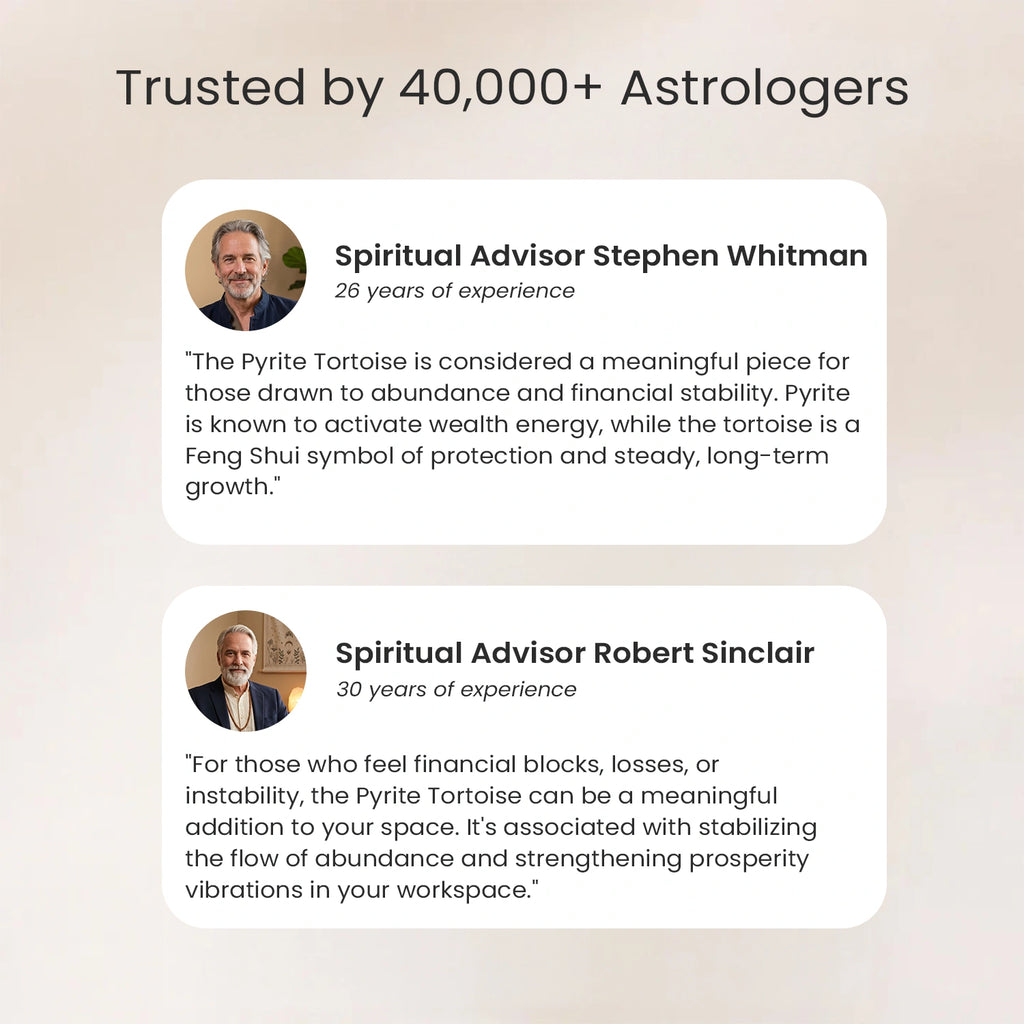Vastu Pyrite Tortoise Combo