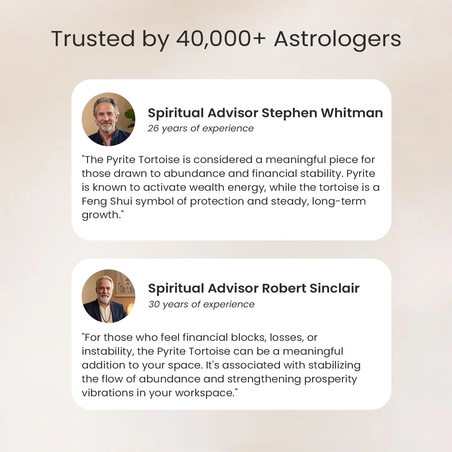 Vastu Pyrite Tortoise Combo