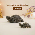 Vastu Pyrite Tortoise Combo