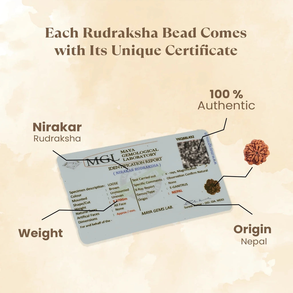 Nepal Origin Nirakar Rudraksha (0 Mukhi) -  17mm - 22mm
