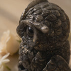 Pyrite Owl : Symbol of Goddess Lakshmi ( Deity of Wealth )