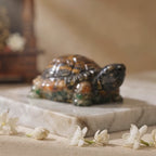 Collector’s Edition Vastu Dhan Yog Tortoise (Big size)