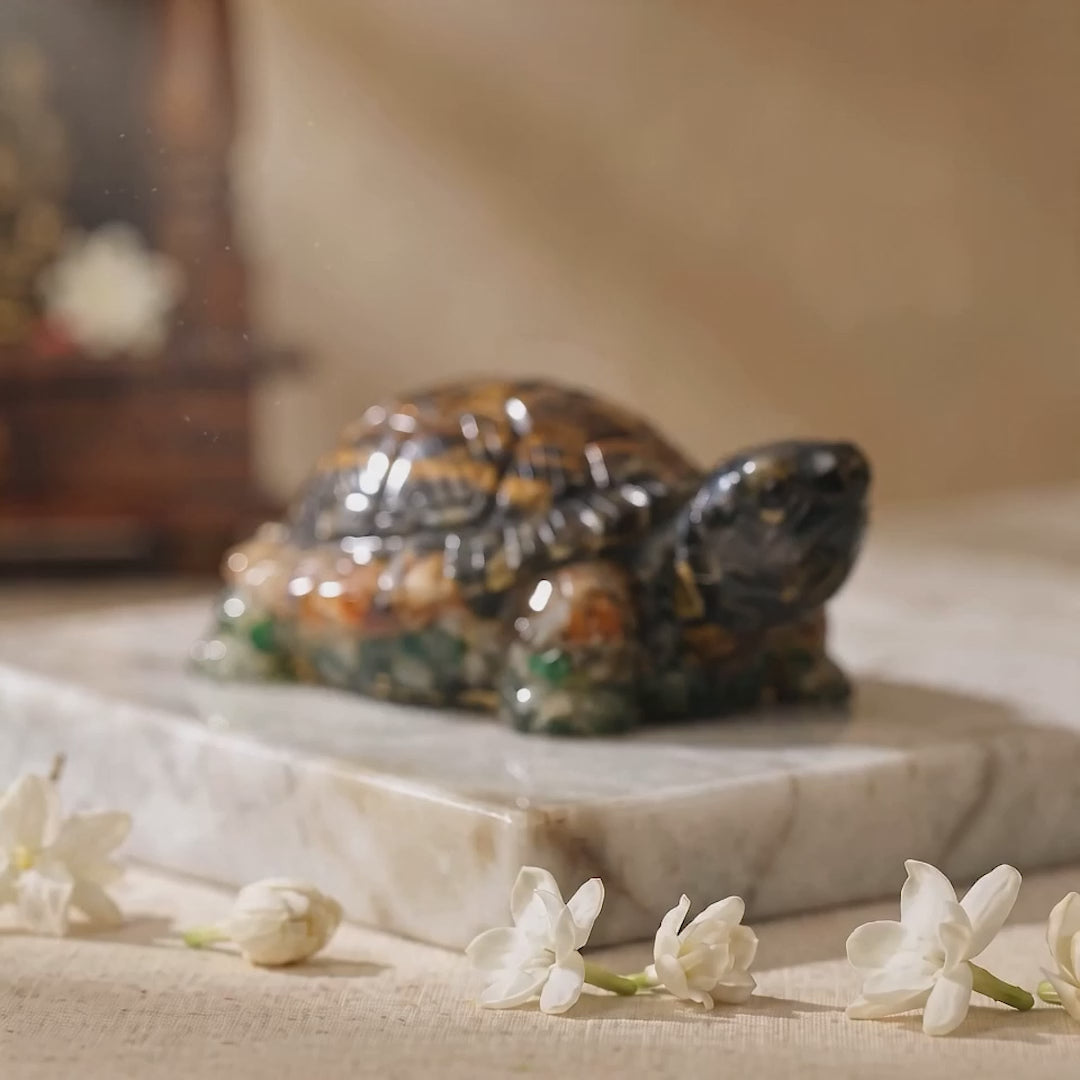 Collector’s Edition Vastu Dhan Yog Tortoise (Big size)