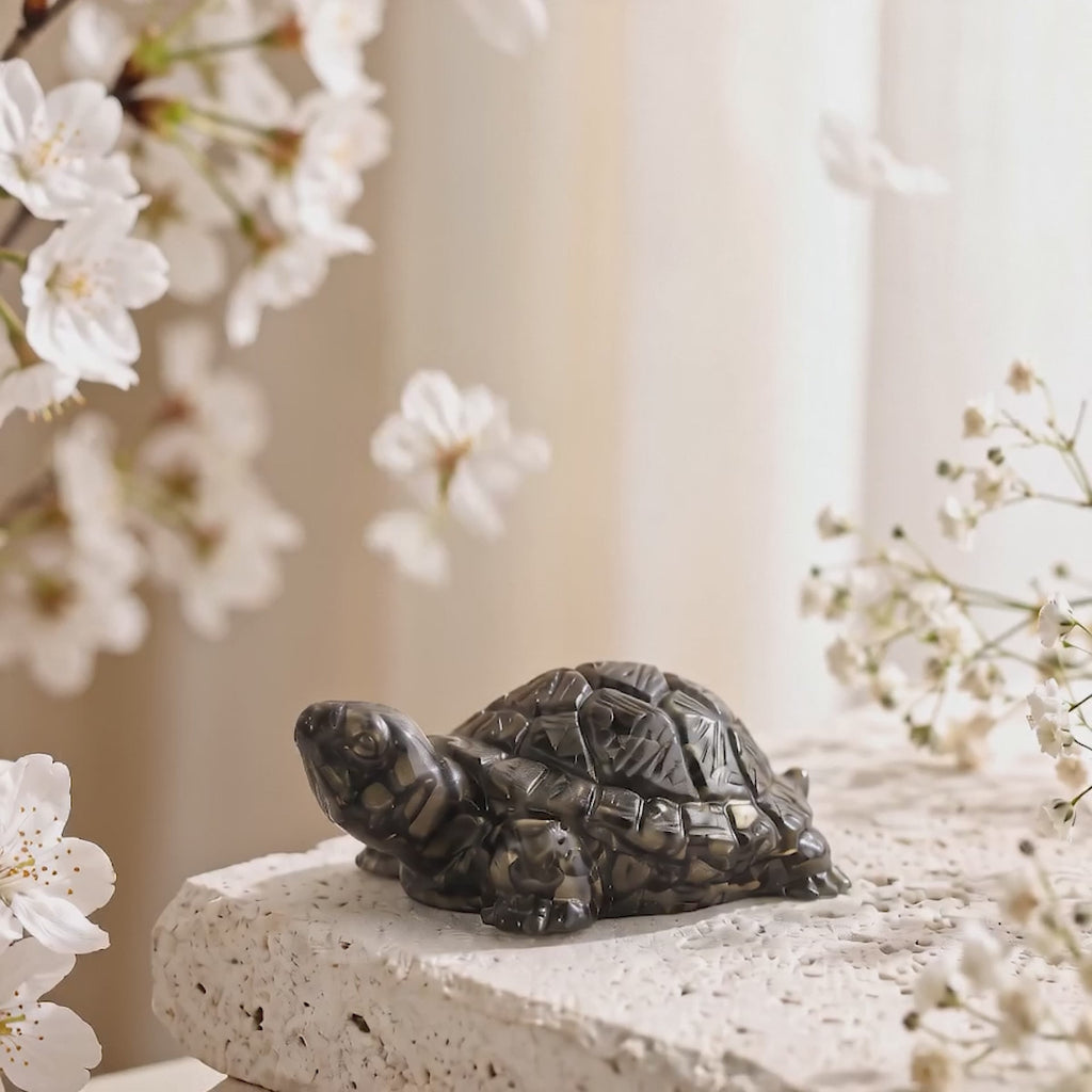 Vastu Pyrite Tortoise (Kachhua)