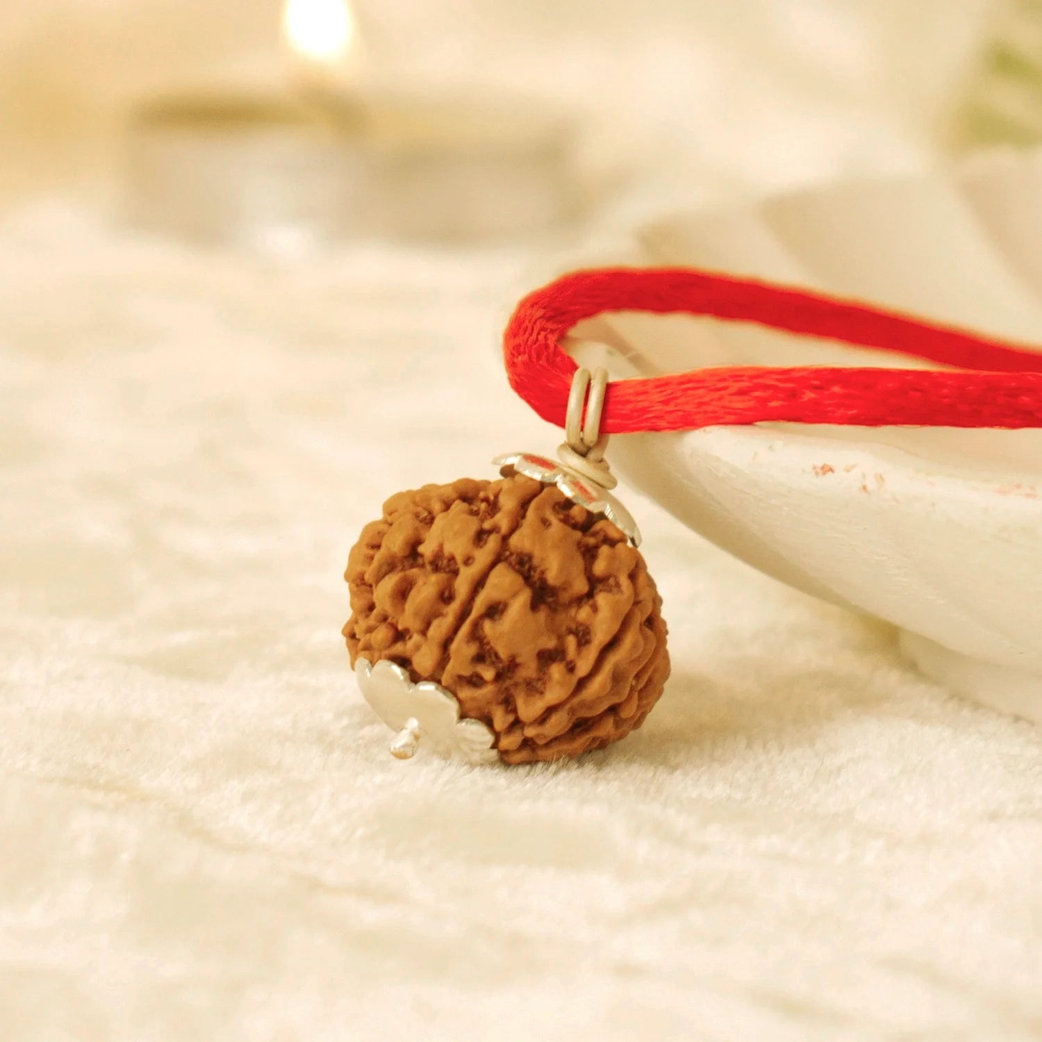 Nepal Origin 7 Mukhi Rudraksha - 17mm to 22mm